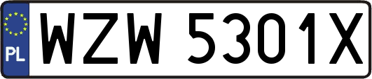 WZW5301X