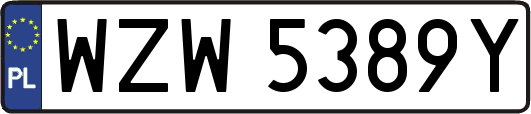 WZW5389Y