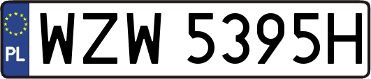 WZW5395H