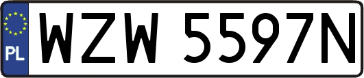 WZW5597N
