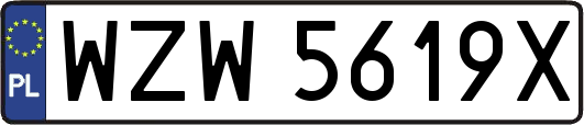 WZW5619X