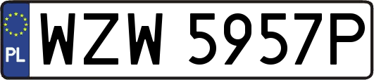 WZW5957P