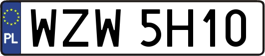 WZW5H10