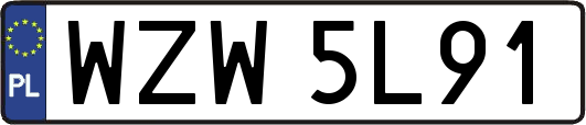 WZW5L91