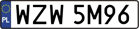 WZW5M96