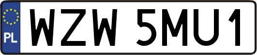 WZW5MU1