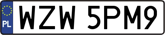 WZW5PM9