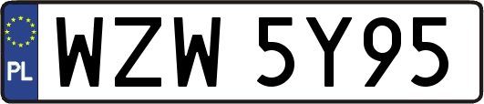 WZW5Y95