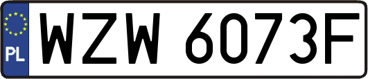 WZW6073F