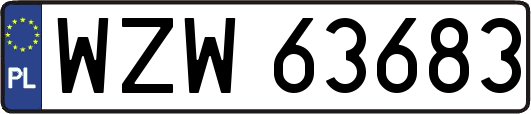 WZW63683