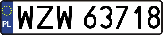 WZW63718