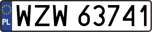 WZW63741