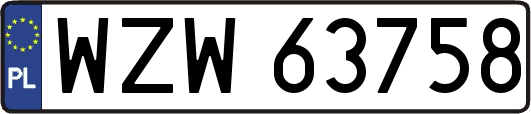 WZW63758
