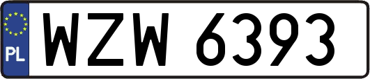 WZW6393