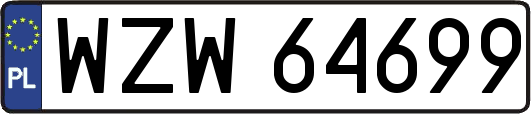 WZW64699