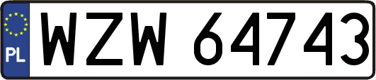 WZW64743