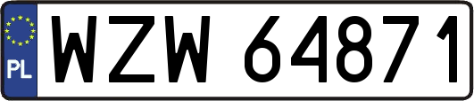 WZW64871