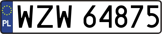 WZW64875