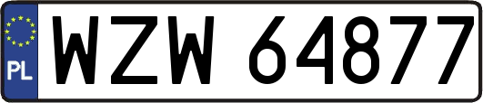 WZW64877