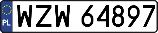 WZW64897