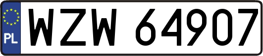 WZW64907
