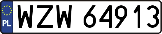 WZW64913