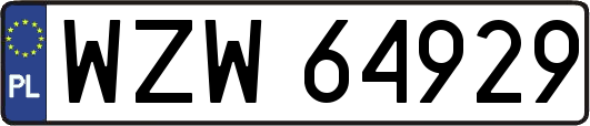 WZW64929