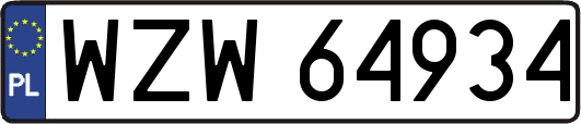 WZW64934