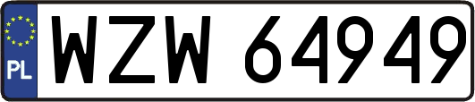 WZW64949
