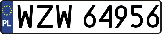 WZW64956