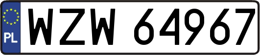 WZW64967
