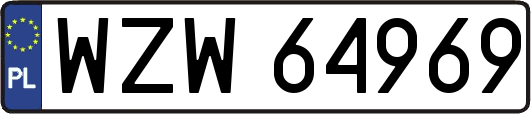 WZW64969