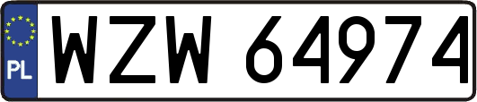 WZW64974