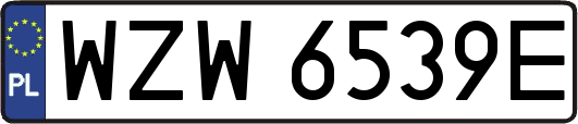 WZW6539E