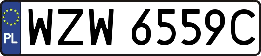WZW6559C