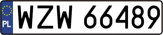 WZW66489