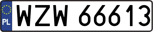 WZW66613