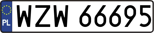 WZW66695