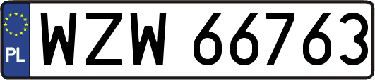 WZW66763