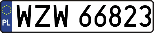 WZW66823