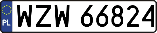 WZW66824