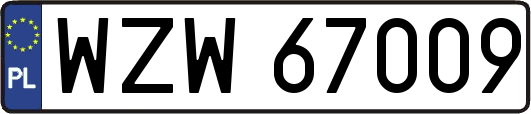 WZW67009