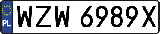 WZW6989X