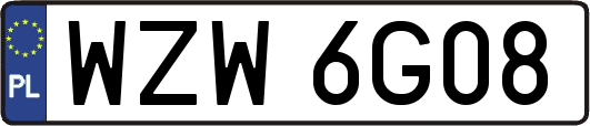 WZW6G08