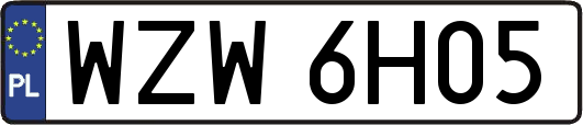 WZW6H05