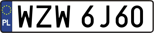 WZW6J60