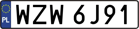 WZW6J91
