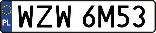 WZW6M53