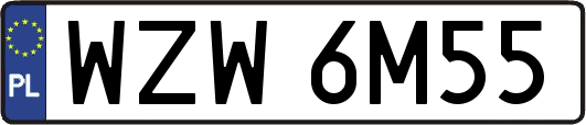 WZW6M55