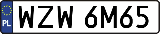 WZW6M65